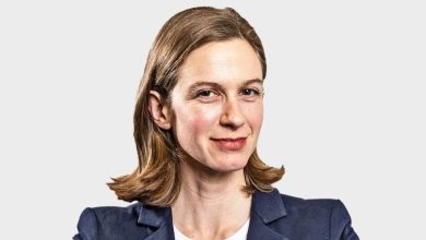 Jake Reiner Wikipedia