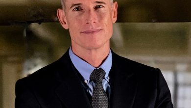 Leah Foley U.S. Attorney Wikipedia