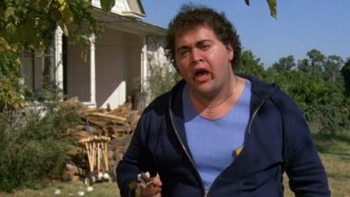 Romy Reiner Wikipedia